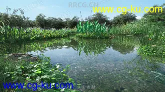 72组高精度水生植物3D模型合集的图片2