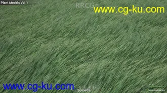 200组高质量草坪草木植物3D模型合集的图片1
