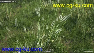 200组高质量草坪草木植物3D模型合集的图片2