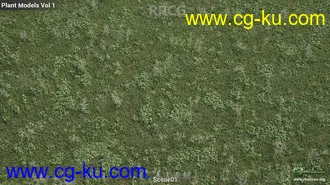 200组高质量草坪草木植物3D模型合集的图片3