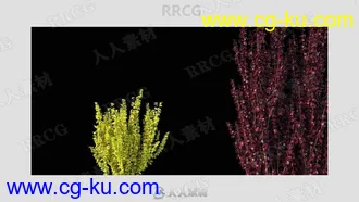 200组高质量开花灌木植物3D模型合集的图片2
