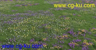 150组高精度艳丽鲜花植物3D模型合集的图片2