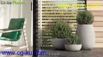 58组逼真装饰性盆栽植物3D模型合集的图片1