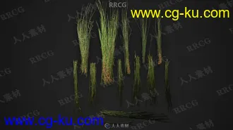 250组树叶植物表面雕刻细节Alpha纹理合集的图片3