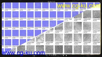 135组动物表面雕刻细节Alpha纹理合集的图片2