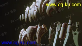 24组猛禽动物人类等指甲爪子雕刻细节3D模型的图片2
