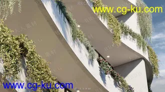 75组高精度藤蔓和匍匐植物3D模型合集的图片2
