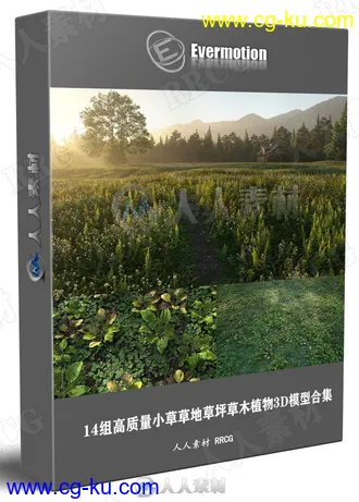 14组高质量小草草地草坪草木植物3D模型合集 Evermotion Archmodels第225季的图片1