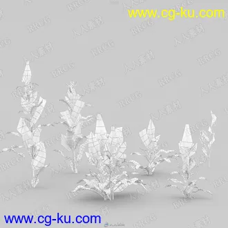 14组高质量小草草地草坪草木植物3D模型合集 Evermotion Archmodels第225季的图片3