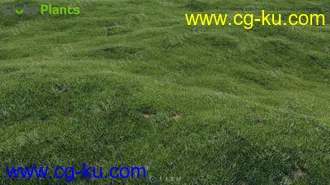 171组高质量公园花园草地小区社区草坪自然带等植物3D模型合集的图片2