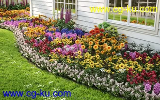 60组高质量花园园林花卉鲜花花草等相关3D模型合集 Evermotion Archmodels第214季的图片2