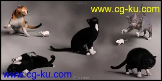 个性可爱毛茸茸宠物猫日常打闹玩耍姿势3D模型合集的图片2