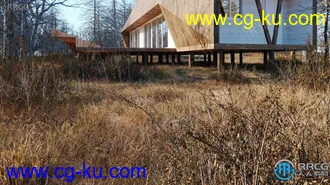 12种高质枯草类草木植物3D模型合集的图片2