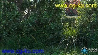 72组高质白头翁菩提树等草木植物3D模型合集的图片1
