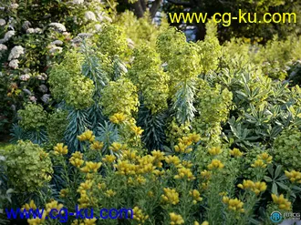 15种90组高质各类草木植物3D模型合集的图片2