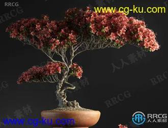 20组高质量室内盆栽草木植物3D模型合集的图片1