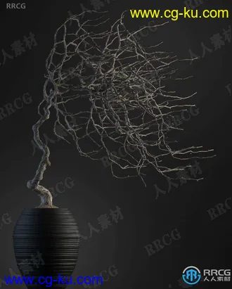 20组高质量室内盆栽草木植物3D模型合集的图片2