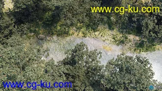 72组高质量桦树苏铁杨树针叶树等树木植物3D模型合集的图片3