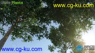 90种大洋洲澳大利亚新西兰高质量树木植物3D模型合集的图片1