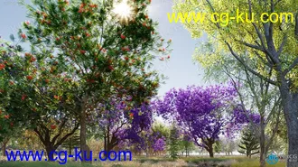 90种大洋洲澳大利亚新西兰高质量树木植物3D模型合集的图片3