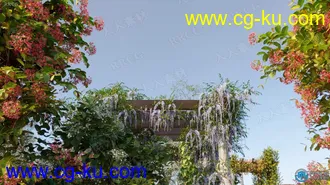 15种藤蔓和爬山虎等植物高质量树木植物3D模型合集的图片3
