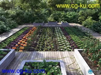 田地田园蔬菜水果胡萝卜西红柿草莓等植物3D模型合集的图片1