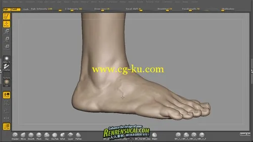 《Zbrush数字影视人物模型雕刻高级教程》Cmivfx Beyond Digital Sculpting的图片3
