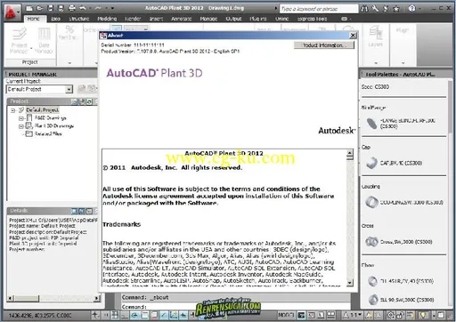 《工厂3D 结构设计规划管理平台2012 SP1破解版32/64位》Autodesk AutoCAD Plant3D ...的图片2