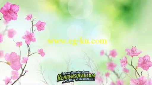 《DJ春季夏季特色视频素材合辑》Digital Juice Animated Spring & Summer Canvases的图片12