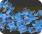 Digital Tutors - Object Replacement with Magic in RealFlow 5的图片4