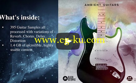 Black Octopus Sound Ambient Guitars WAV-DISCOVER的图片1