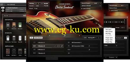 Native Instruments Session Guitarist Electric Sunburst KONTAKT的图片1