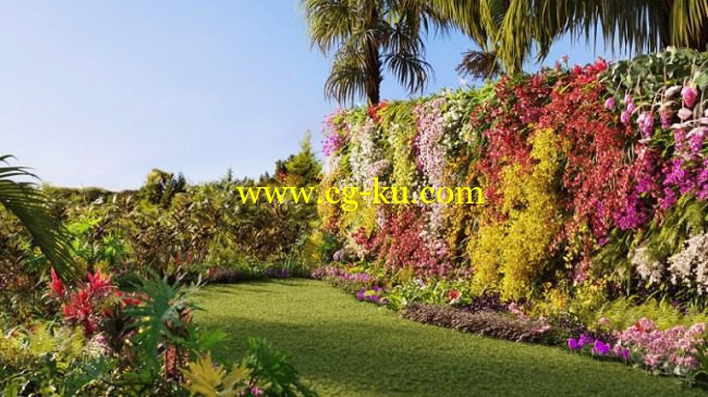 Maxtree – Plant Models Vol 8的图片1 Maxtree – Plant Models Vol 8的图片1