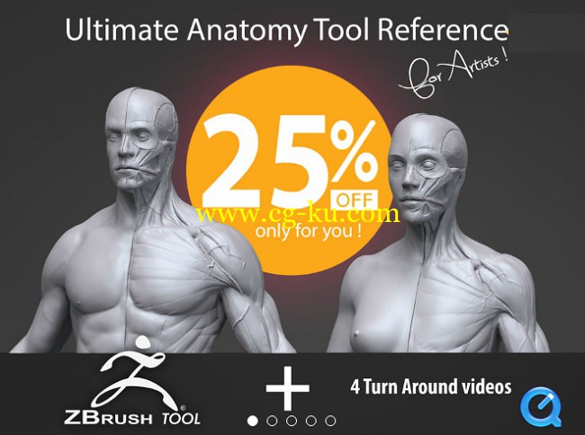 Gumroad – Ultimate Anatomy Tool Reference for Artists的图片1