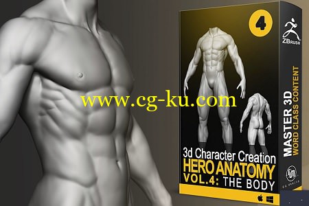 Cubebrush – Hero Anatomy En Vol. 4 The Body的图片1