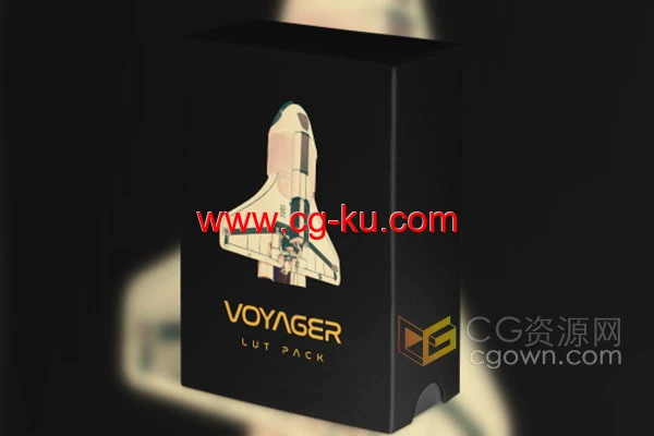 17个适用纪录片和叙事电影风格的Voyager LUT调色预设的图片11
