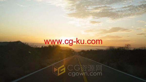 实拍素材-伴随着路边的仙人掌和树木汽车行驶在夕阳下的公路上的图片1