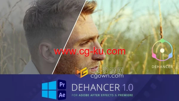 Ae/Pr插件Dehancer Pro 1.3.1电影质感胶片效果工具的图片1