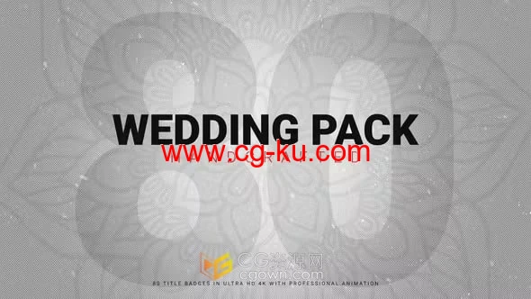 AE模板-80多个设计独特且优雅的时尚婚礼全屏标题动画的图片1