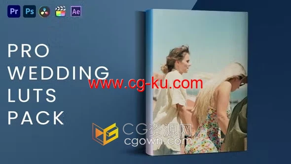 免费下载10个干净大气婚礼照片视频调色LUT预设的图片1