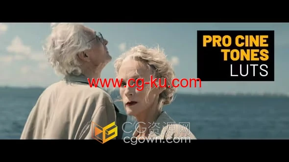 15个 Pro Cine Tones LUT专业电影调色预设的图片1