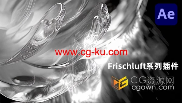 AE插件Frischluft Plug-ins bundle 2023.6系列插件的图片1