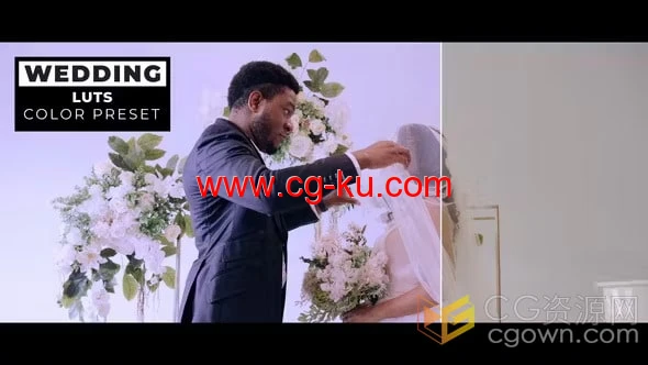 12个清新素雅婚礼LUT视频调色预设免费素材的图片1