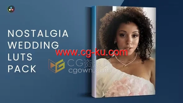 10个怀旧婚礼调色Luts预设干净复古视频调色滤镜的图片1