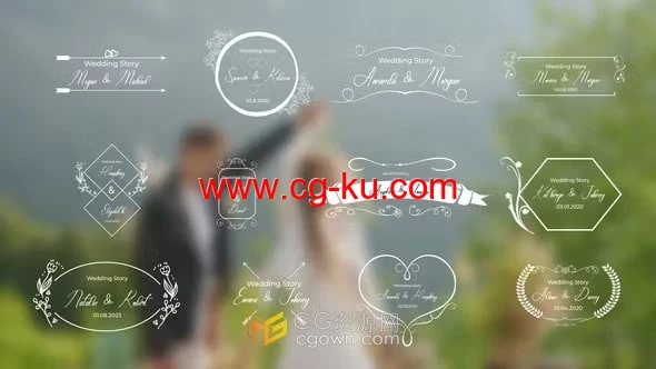12个简约大方婚礼标题动画元素-PR模板的图片1