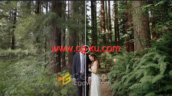 柔和暖色调婚礼调色预设LUTS突显健康的肤色和镜头感的图片4