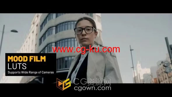 15个电影胶片质感Mood Film LUT和42个“Log to Rec 709”LUT的图片1
