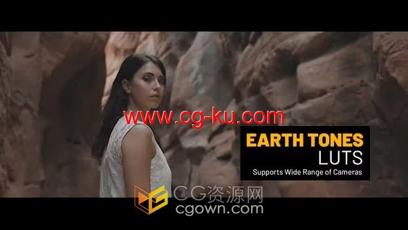 15个大地色系颜色LUT和42 个“Log to Rec 709”LUT的图片1