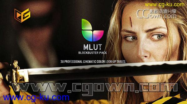 30组LUTS电影大片调色预览插件 mLUT 支持FCPX/Resolve/AE/PR/Nuke/Avid的图片1