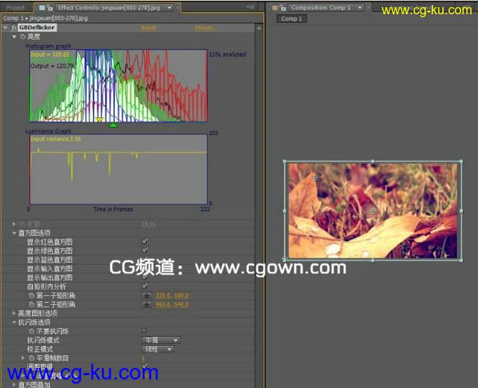 AE/PR 闪烁移除插件 GBDEFLICKER 2.3.3 For Adobe（CS5,CS5.5,CS6）汉化版的图片1